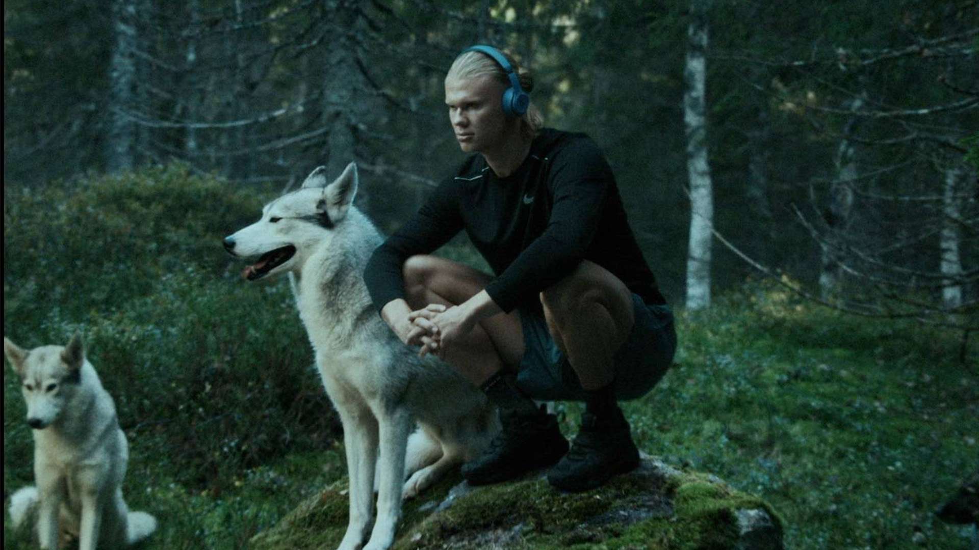 他回忆起自 他回忆起自